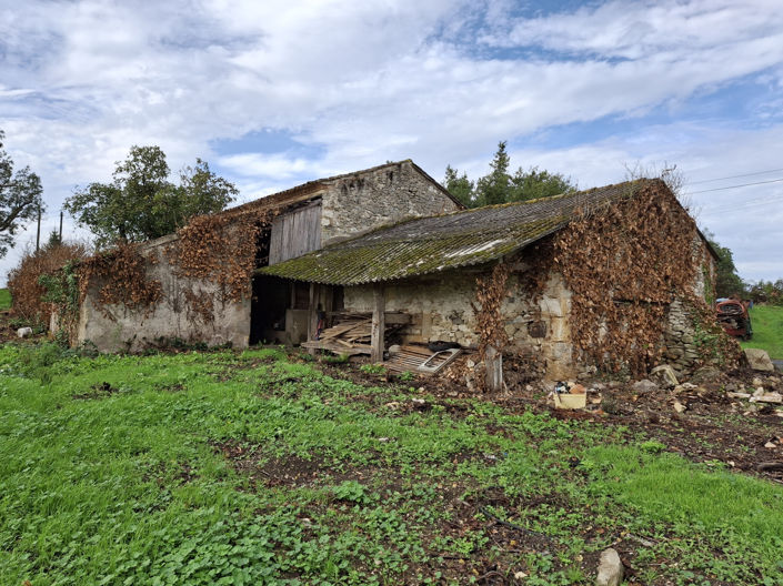 Image No.5-House for sale