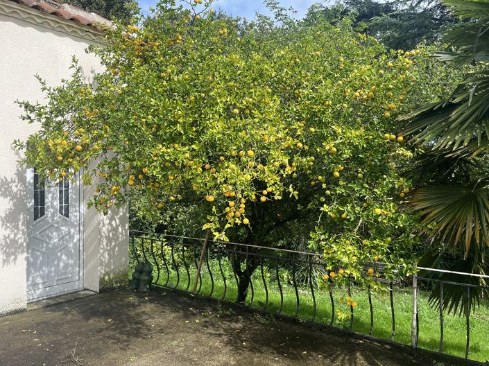 Image No.3-3 Bed House for sale