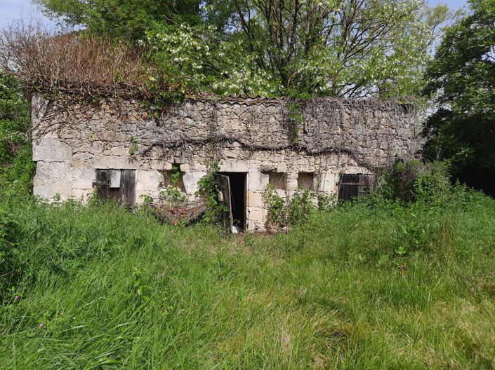 Image No.19-3 Bed House for sale