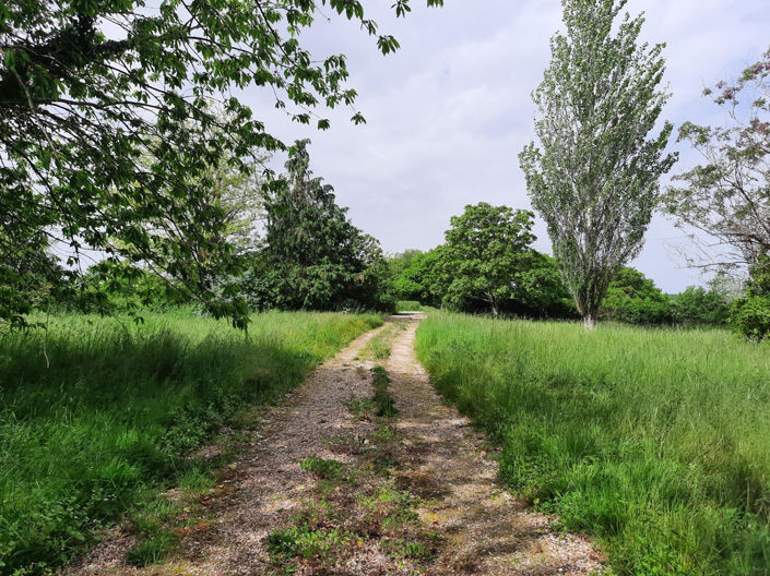 Image No.22-3 Bed House for sale