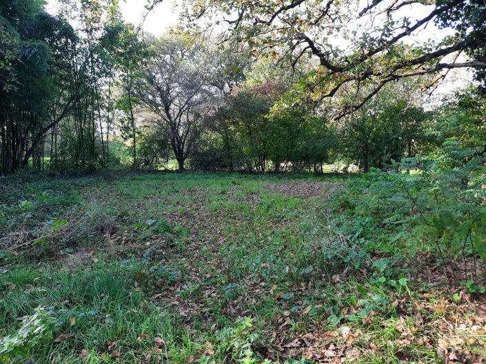 Image No.17-Property for sale