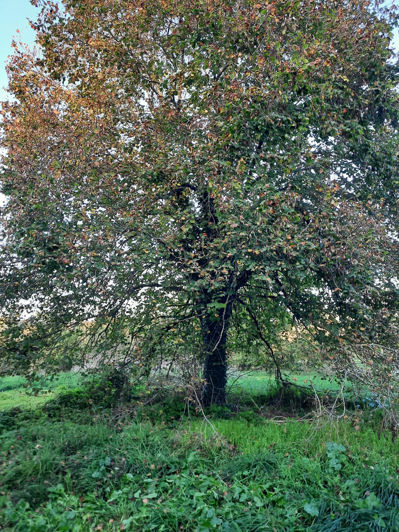 Image No.3-Property for sale