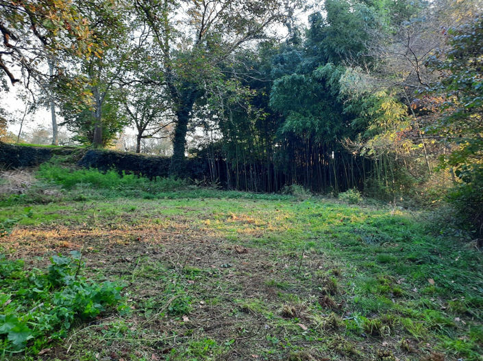 Image No.6-Property for sale