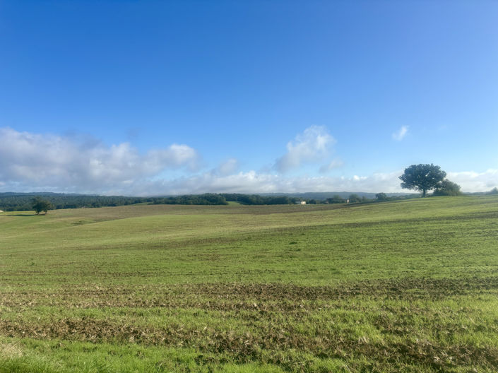 Image No.5-4 Bed Property for sale