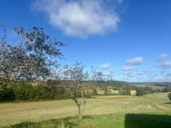 Image No.6-4 Bed Property for sale