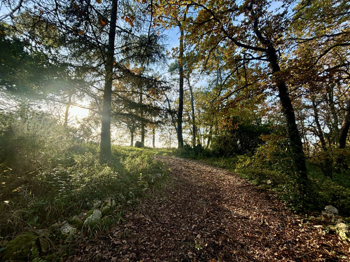 Image No.3-3 Bed House for sale