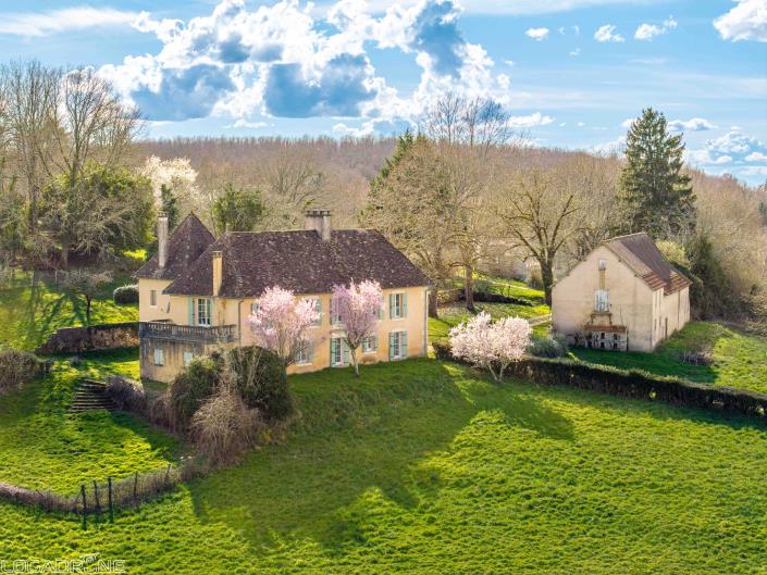 Image No.24-6 Bed Mansion for sale