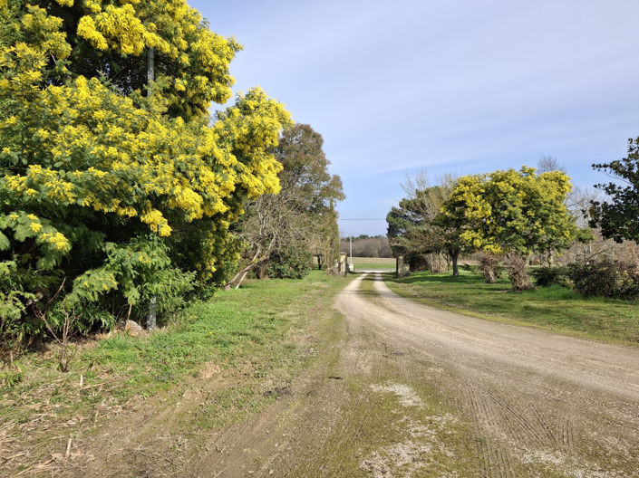 Image No.18-8 Bed House for sale