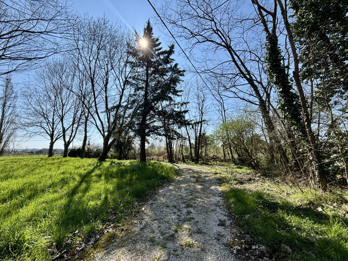 Image No.8-2 Bed House for sale