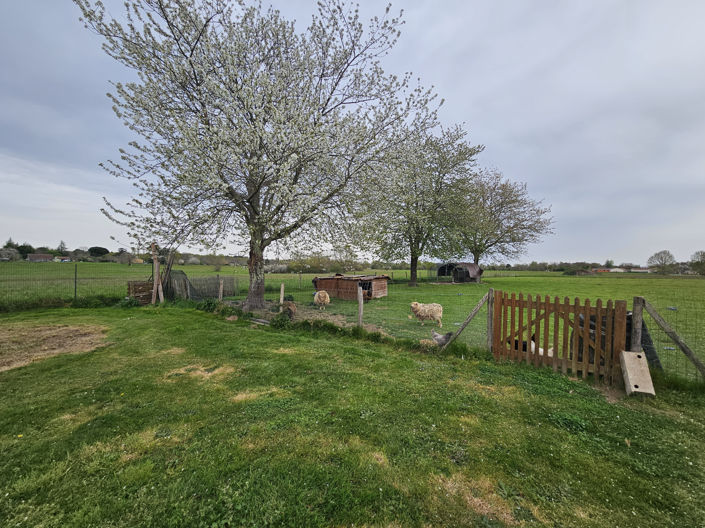 Image No.3-7 Bed House for sale