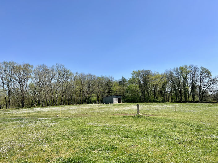 Image No.19-3 Bed Property for sale