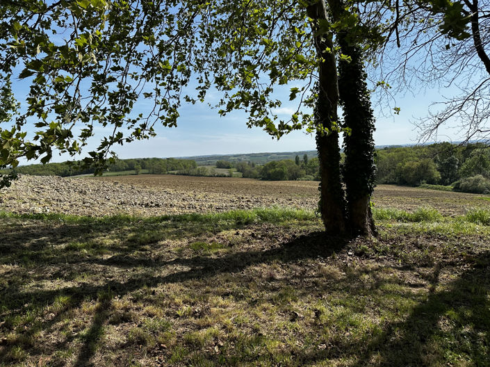 Image No.20-3 Bed House for sale