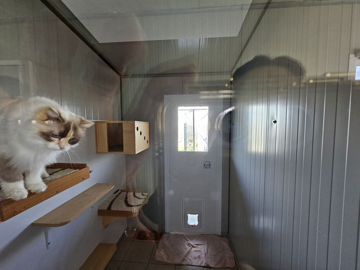 Image No.12-4 Bed House for sale