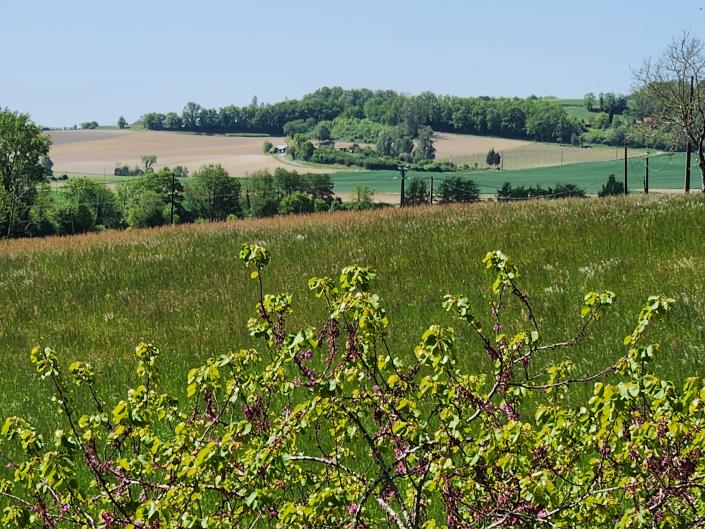 Image No.2-3 Bed Country Property for sale