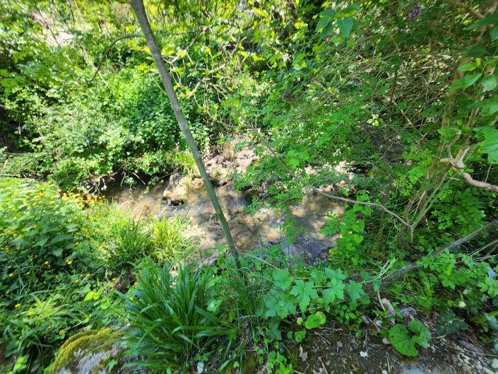 Image No.38-3 Bed Country Property for sale