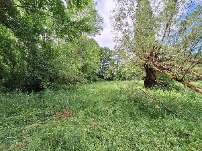 Image No.36-3 Bed Country House for sale