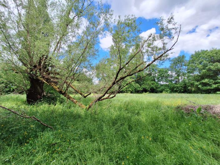 Image No.37-3 Bed Country House for sale