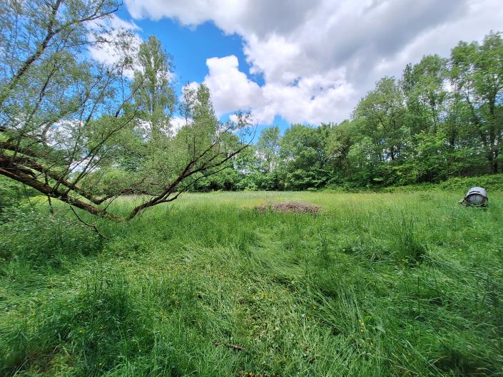 Image No.38-3 Bed Country House for sale