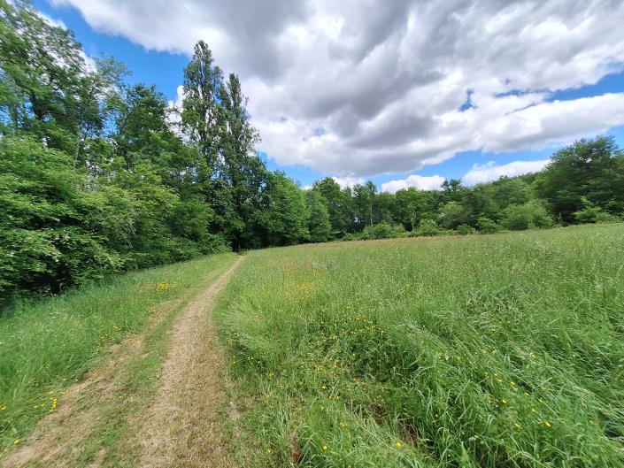 Image No.39-3 Bed Country House for sale