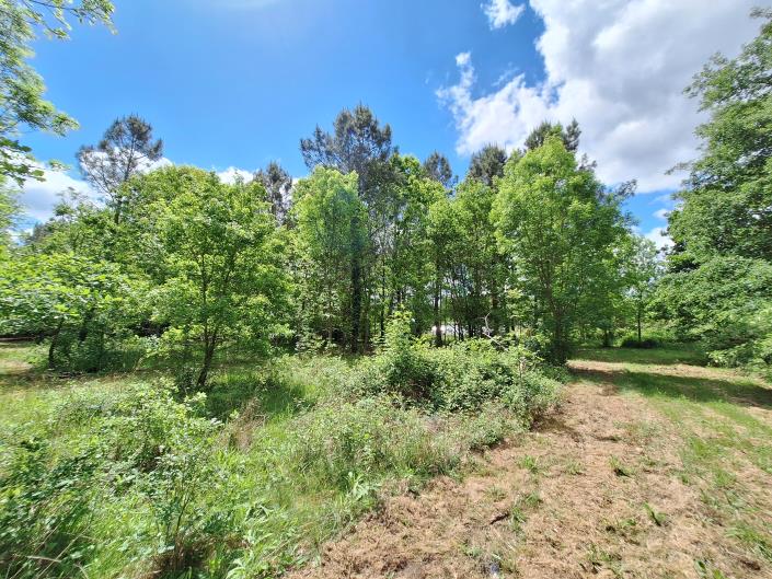 Image No.42-3 Bed Country House for sale