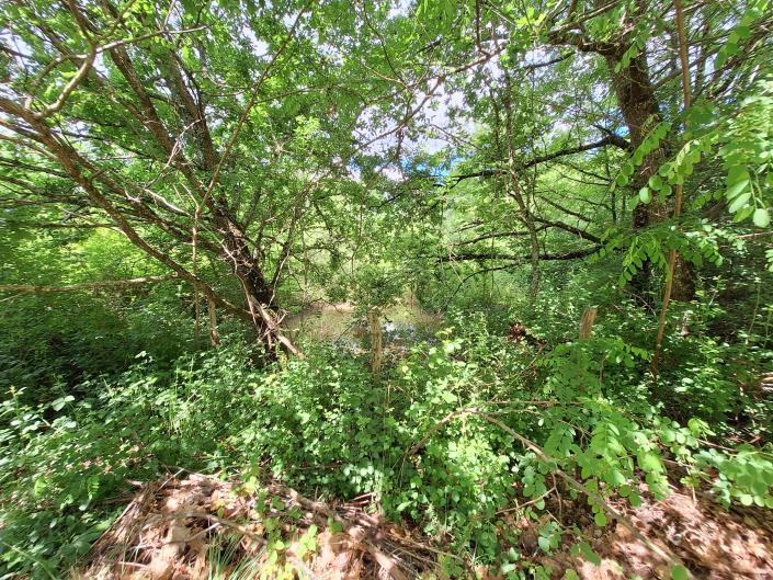 Image No.43-3 Bed Country House for sale