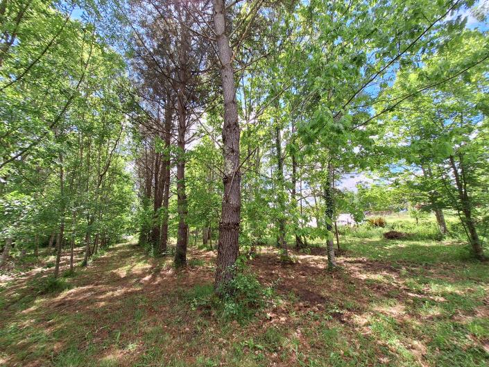 Image No.44-3 Bed Country House for sale