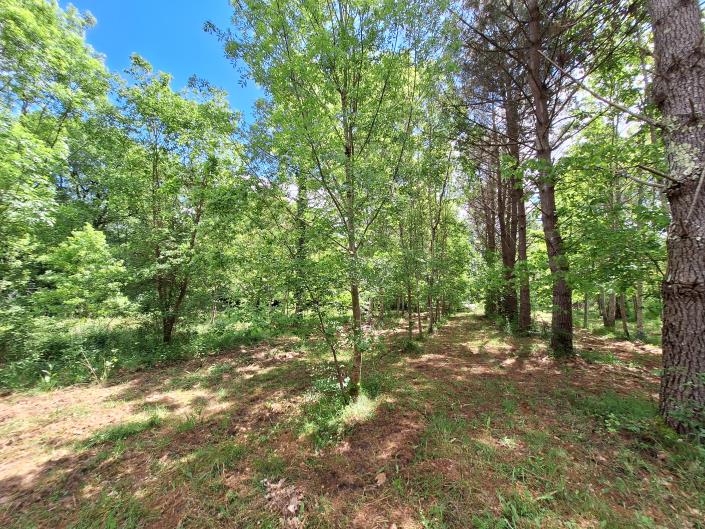 Image No.45-3 Bed Country House for sale