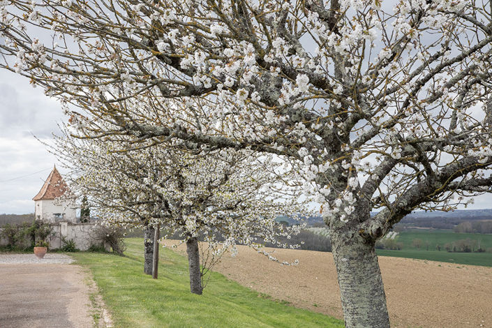 Image No.18-4 Bed House for sale