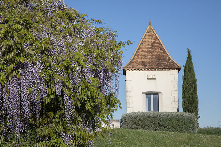 Image No.20-4 Bed House for sale