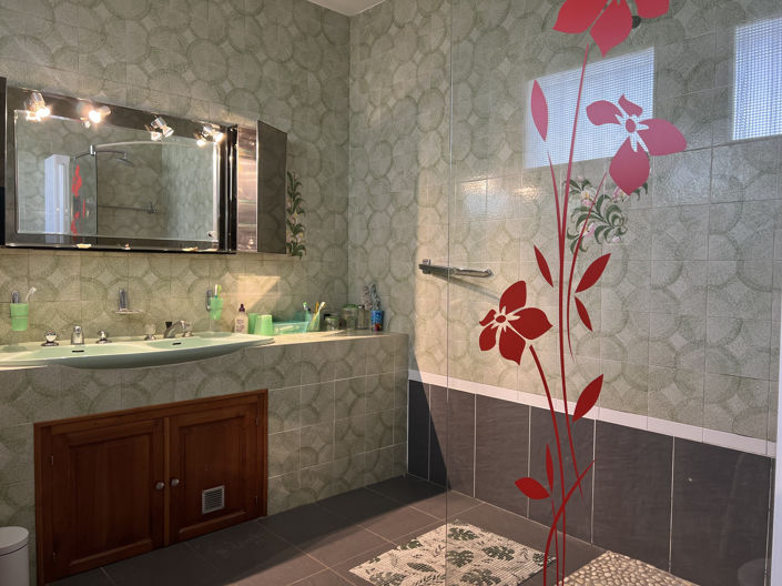 Image No.21-5 Bed House for sale