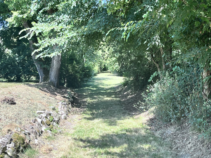 Image No.2-6 Bed House for sale