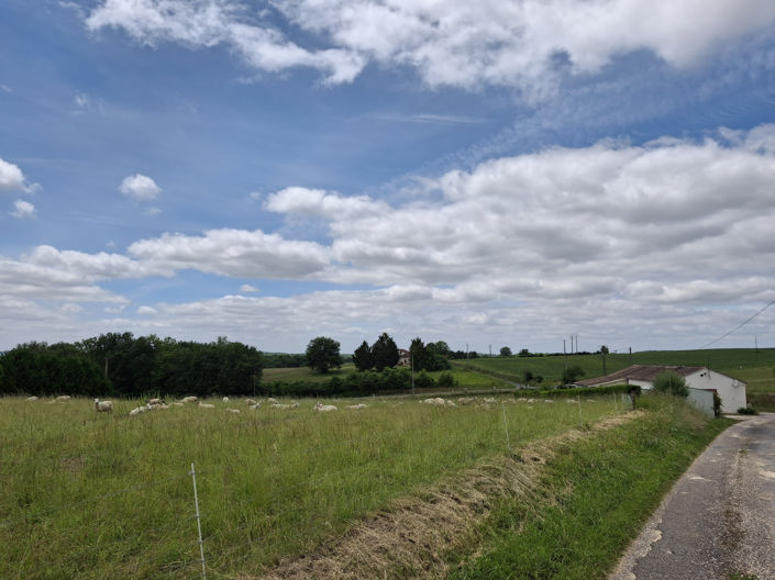 Image No.15-2 Bed House for sale