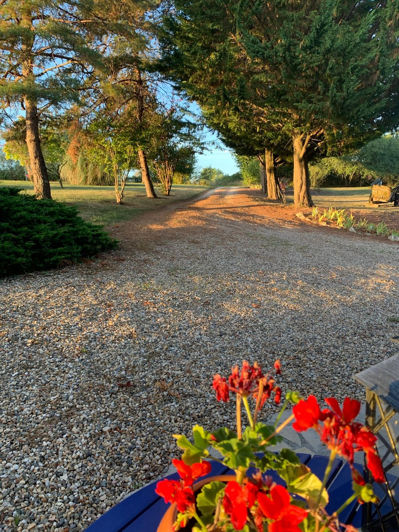 Image No.18-4 Bed House for sale