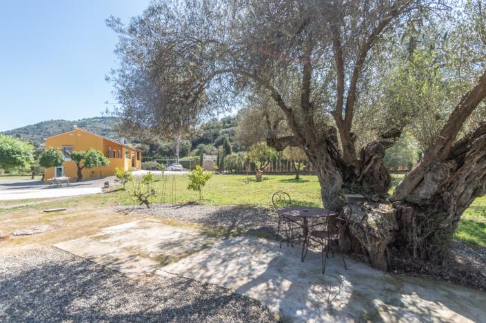 Image No.30-4 Bed Finca for sale