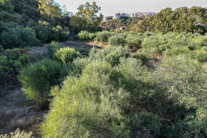 Image No.7-Plot for sale