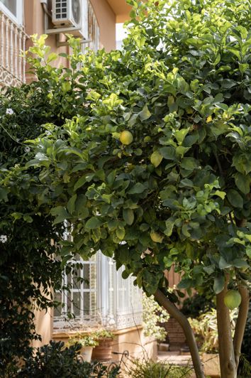 Image No.11-4 Bed Villa for sale