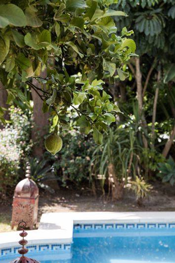 Image No.15-4 Bed Villa for sale