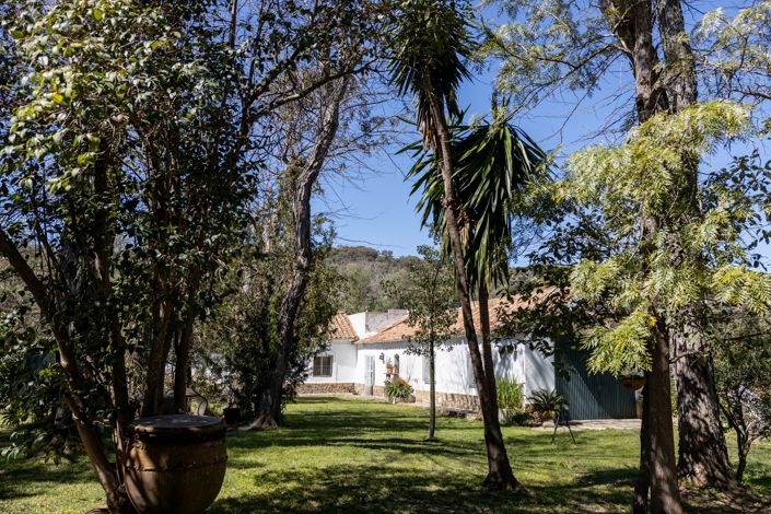 Image No.1-9 Bed Finca for sale