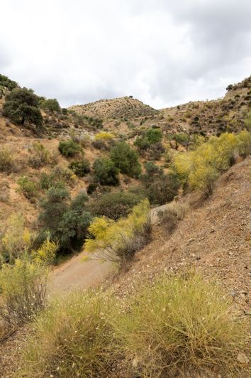 Image No.14-Plot for sale