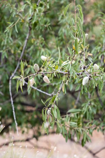 Image No.15-Plot for sale