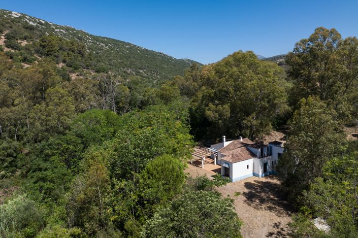 Image No.3-5 Bed Finca for sale