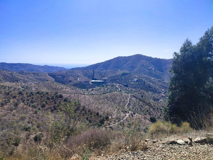 Image No.12-9 Bed House for sale