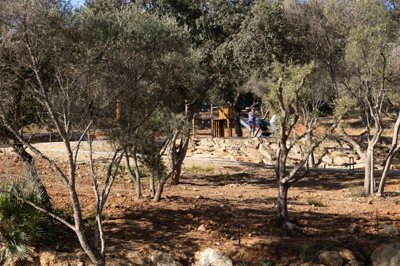 qgcm5yxb7itu20usxvas9zwwpfszaql0s7gesuwya4e1n