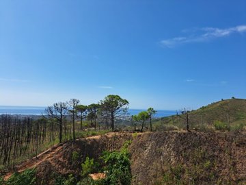 qgcm5yxb7itu20usxvas9zwwpfszaql0s7gesuwya4e1n