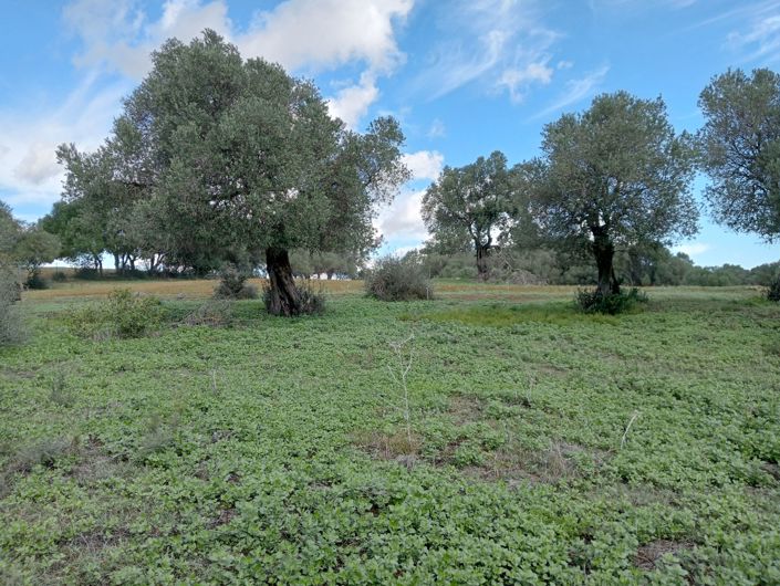 Image No.1-Plot for sale