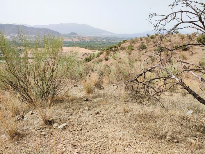 Image No.13-Plot for sale