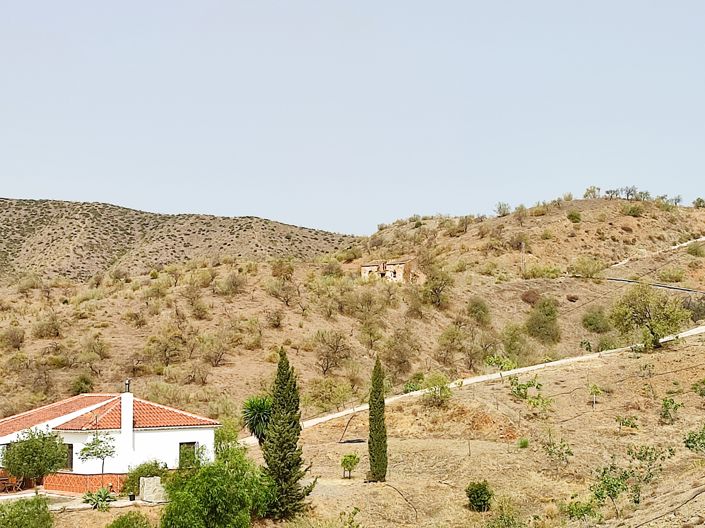 Image No.19-Plot for sale