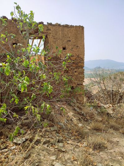 Image No.3-Plot for sale