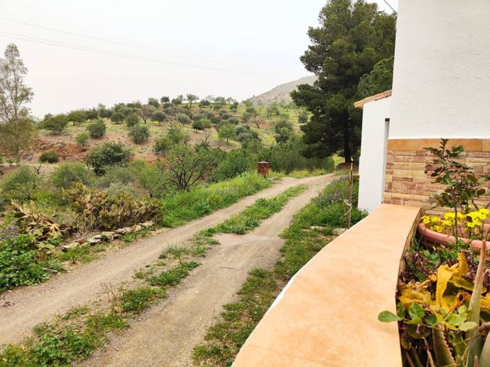 Image No.29-5 Bed House for sale