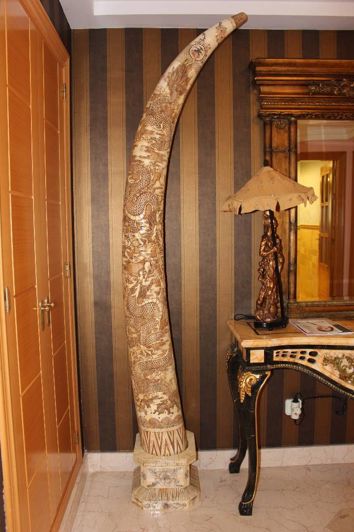 Image No.15-Appartement de 3 chambres à vendre à Manilva